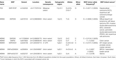 Role of Sex in the Therapeutic Targeting of p53 Circuitry